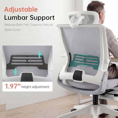 Ergonomic Foldable Office Chair with Footrest and Lumbar Support, Grey