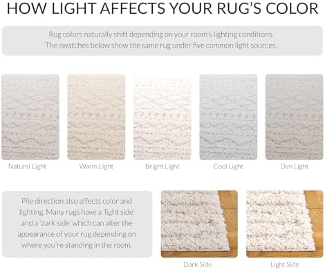 SAFAVIEH Arizona Shag Rug 6'7"x9'2", Soft Plush Boho Ivory ...