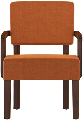 FAGAGA Accent Chair, Mid-Century Armchair with Solid Wood Frame, Orange