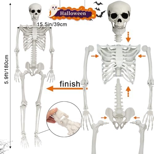 5.9FT Poseable Life Size Skeleton, Plastic Full Size Spooky Scary Skeleton wi...