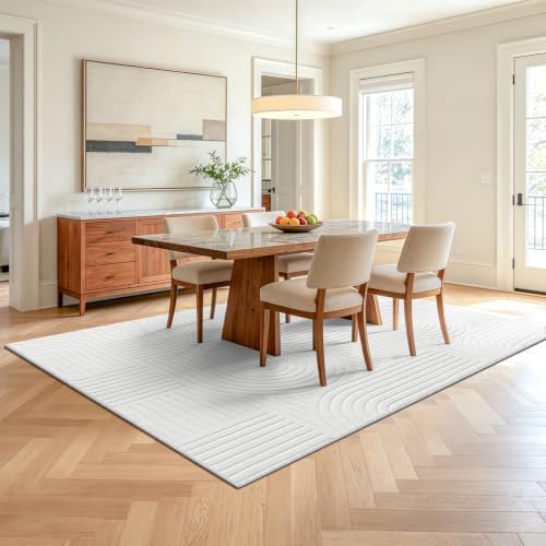 Pauwer 5x7 Area Rugs for Living Room, Modern Non Slip Washable Rug, White
