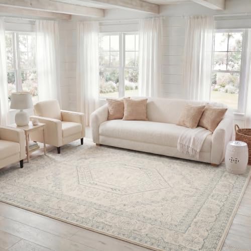 SAFAVIEH Adirondack Area Rug 8x10, Large Ivory & Slate ADR108S