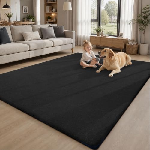 Sour Lemon Area Rugs 9x12 for Living Room Bedroom, Large Carpet Black Rug