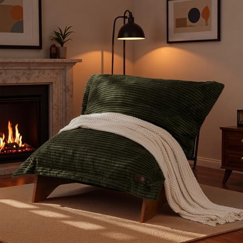 MAXYOYO Adjustable Living Room Chair, 3-Position Bean Bag Chair with Frame