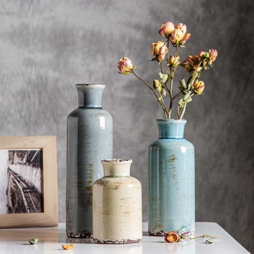 CwlwGO- Ceramic Vase Set of 3, Small Flower Vases for Home Decoration, Modern...