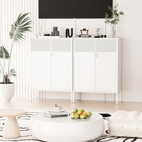 Washsemba 2 Mesh Door Metal Storage Cabinet with Adjustable Shelves, Multipur...