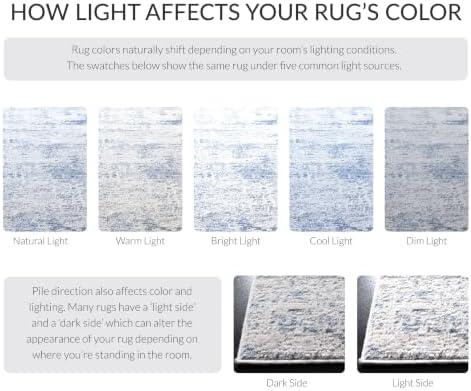 SAFAVIEH Amelia Area Rug 8'x10', Modern Ivory & Blue ALA700A