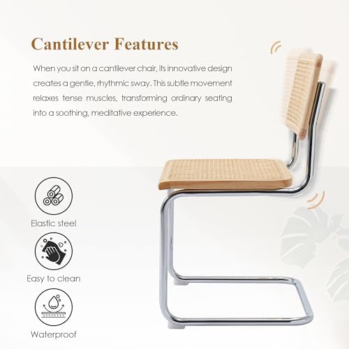 Rattan Cantilever Dining Chairs Set of 2, Boho Modern Dining Chairs with Ratt...