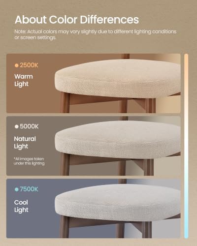 VASAGLE Wooden Dining Chairs Set of 2, Upholstered Kitchen Chairs