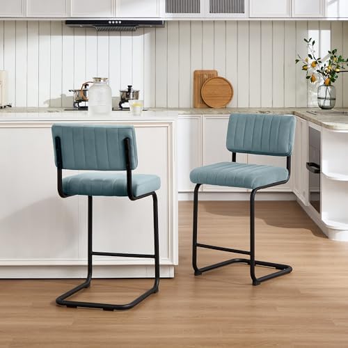 Flouki 24 Inch Bar Stools Set of 4, Cantilever Counter Height Barstools, Upho...