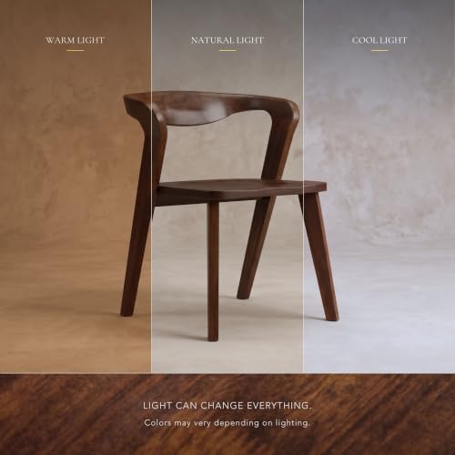 Furniture of America Nazaen III Mid-Century Modern Wood 21.5-inch Side Chairs...