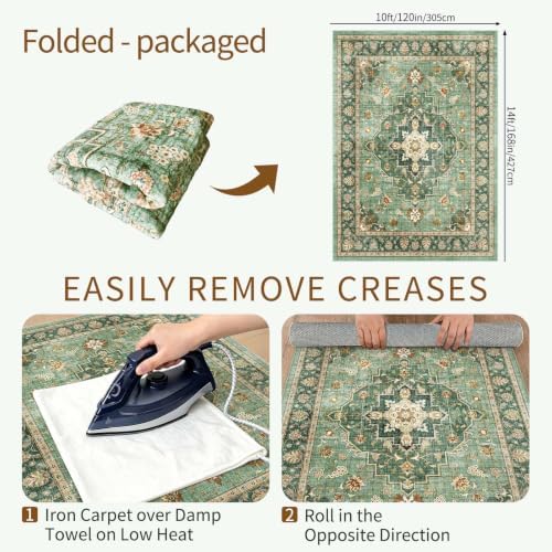 Washable 10x14 Rug Living Room: Non-Slip for Dog Cat Household Forest Green