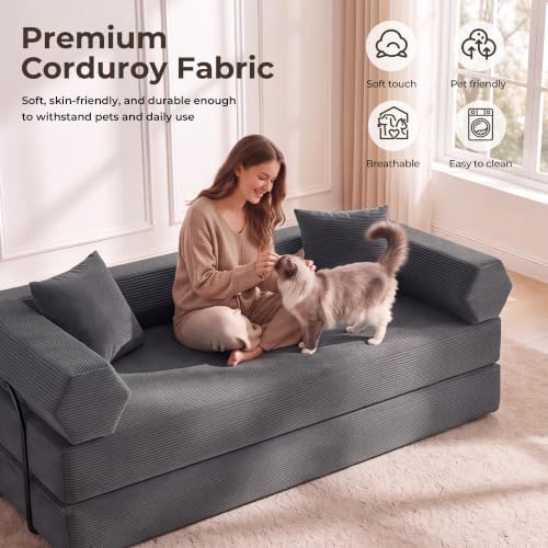 79" Convertible Futon Sofa Bed, Boneless Couch for Living Room | Dark Gray