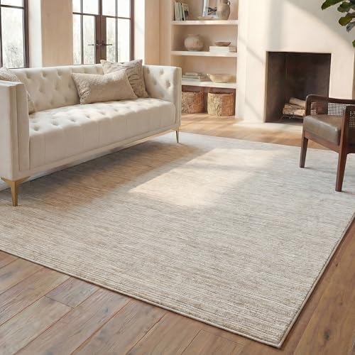 SAFAVIEH Vision Area Rug 6x9, Modern Tonal Cream VSN606F