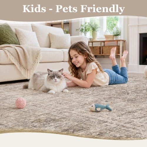 FMFUNCTEX 9x12 Washable Taupe Vintage Distressed Area Rug for Living Room