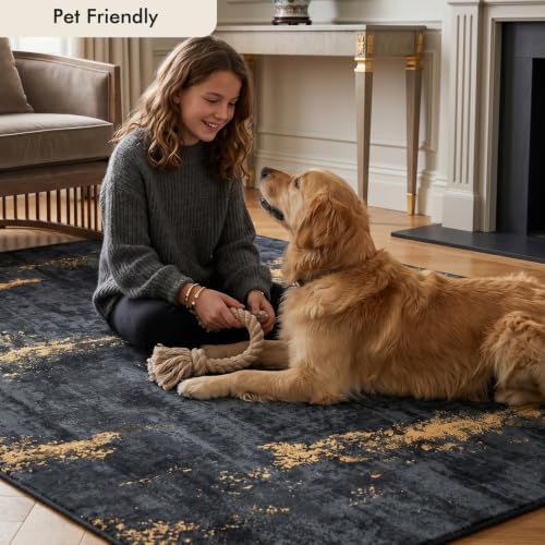 Fixwal Washable 5x7 Area Rug for Living Room, Non-Slip, Black/Gold