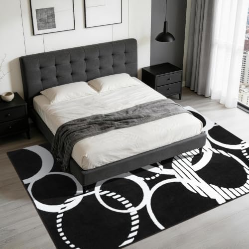 Plush Black and White Rug Non Slip, Washable 5x7 Area Rugs for Living Room