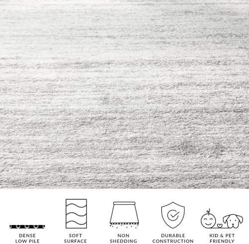 SAFAVIEH Adirondack Area Rug 8x10, Large Ivory & Silver ADR113B