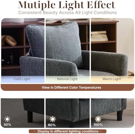 Accent Chair, Upholstered Armchair for Living Room