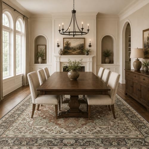 5x7 Area Rug for Living Room Vintage Neutral Washable Rugs