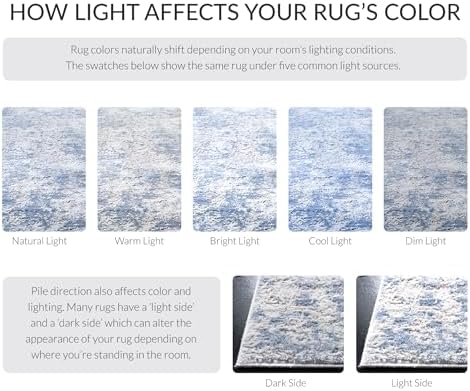 SAFAVIEH Amelia Area Rug 8'x10', Modern Grey & Blue ALA705F