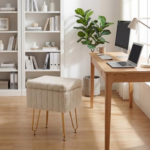 DUMOS Vanity Stool Chair with Storage, Small Ottoman Faux Fur Soft Padded Foo...