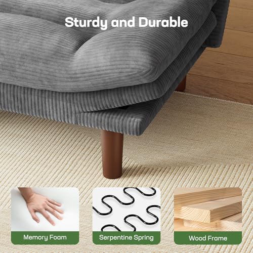 Marsail 66.02" Futon Sofa Bed, Convertible Couch & Sleeper Sofa, Lig...