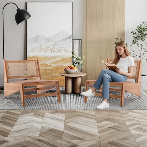 HAOBO Home Rattan Chair Mid Century Modern Accent Chair for Reading Living Ro...