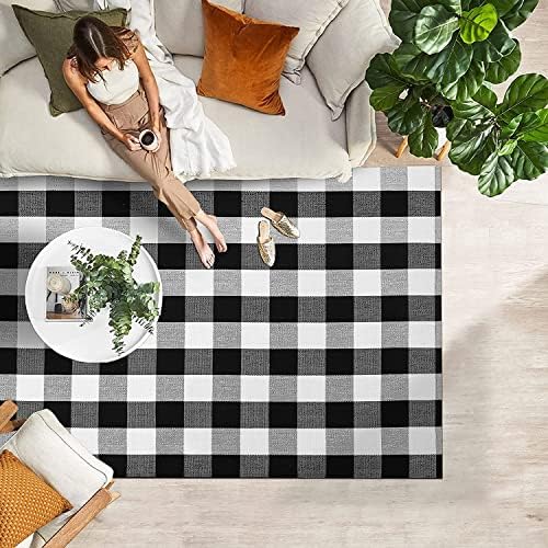 IOHOUZE 4x6 Buffalo Plaid Outdoor Rug, Washable Front Porch, Black White