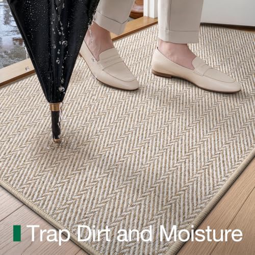 LUMI Ultra Thin Indoor Door Mat 32"x48", Entrance Doormat, Beige