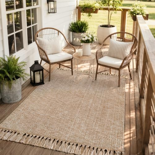 Collive 4' x 6' Hand Woven Bedroom Area Rug, Boho Indoor Outdoor Rugs
