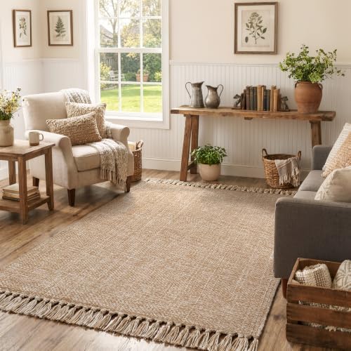 Collive 4' x 6' Hand Woven Bedroom Area Rug, Boho Indoor Outdoor Rugs