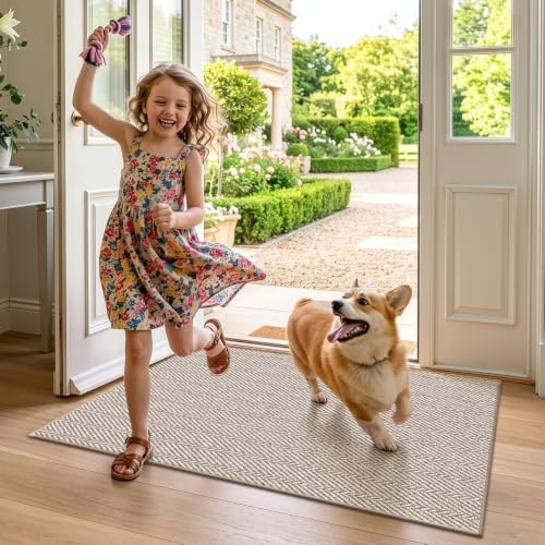 LUMI Ultra Thin Indoor Door Mat 32"x48", Entrance Doormat, Beige