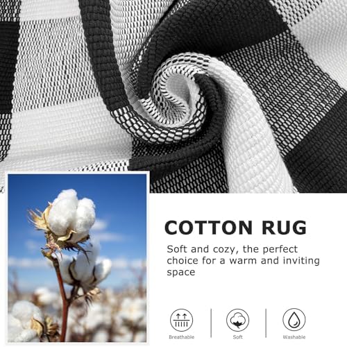 IOHOUZE 4x6 Buffalo Plaid Outdoor Rug, Washable Front Porch, Black White