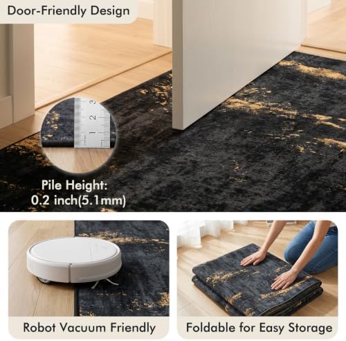 Fixwal Washable 5x7 Area Rug for Living Room, Non-Slip, Black/Gold
