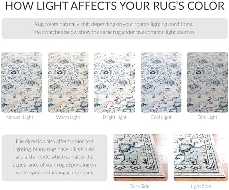 SAFAVIEH Madison Area Rug 8'x10', Traditional Ivory & Light Blue ...