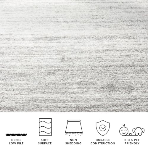 SAFAVIEH Adirondack Area Rug 8x10, Large Ivory & Silver ADR113B