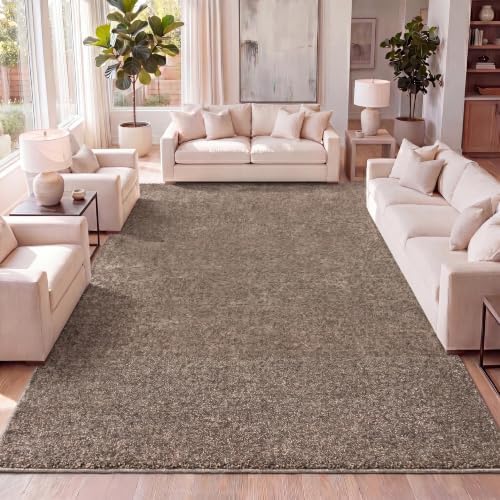 JONATHAN Y Haze Solid Low-Pile Brown Indoor Area Rug 8x10, Coastal,Bohemian,M...
