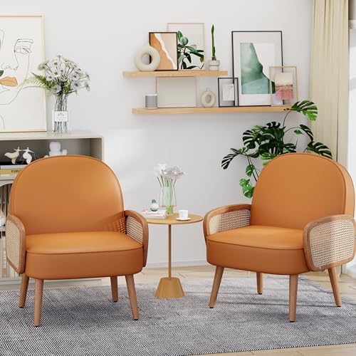 Aklaus Mid Century Modern Accent Chair Set of 2 Armchair with Rattan Arms Uph...