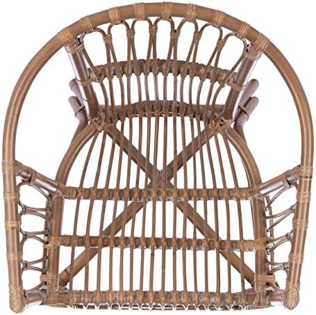 Safavieh Home Adriana Coastal Grey White Wash Rattan (Set of 2) Accent Chair ...