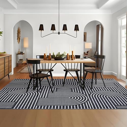 ROYHOME Modern Washable Rug 6x9 Area Rugs for Living Room Non Slip, Black