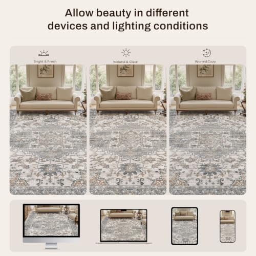 Washable Area Rugs 9x12: Neutral Gray Brown Rugs for Living Room