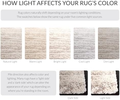 SAFAVIEH Hudson Shag Rug 10x14, Plush Modern X-Large Ivory & Beige SGH206B