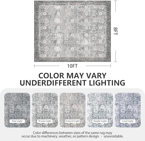 8x10 Area Rugs, Soft Non Slip Low Pile Washable Rug, Boho Modern Rug for Livi...