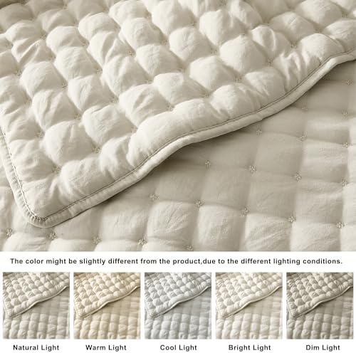 WDCOZY Cloud Soft Quilt Set, King Size, Light Beige, 3 Pieces 104x90 inches
