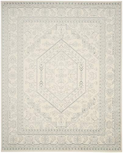 SAFAVIEH Adirondack Area Rug 8x10, Large Ivory & Slate ADR108S