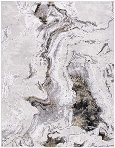 SAFAVIEH Amelia Collection Area Rug - 10' x 14', Grey & Gold, Mod...