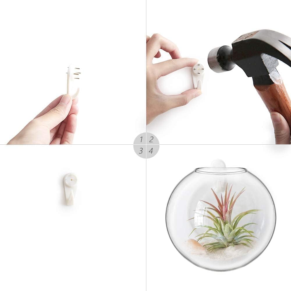 Mkono Wall Propagation Planters, 6 Pack Oblate Hanging Plant Holder Vase