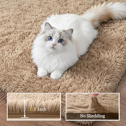 8x10 Area Rug Living Room Bedroom: Fluffy Plush Shag Carpet Beige