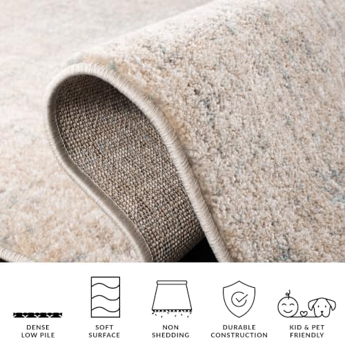 SAFAVIEH Adirondack Area Rug 8x10, Modern Large Beige & Slate ADR207B